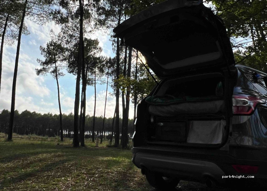 Camping Municipal l'Arriu — foto 4
