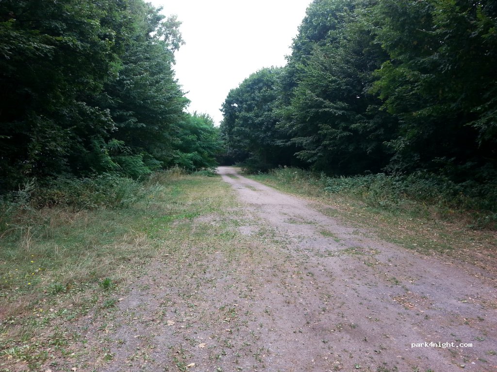 (64331) Weiterstadt - 31 Triftweg — foto 2