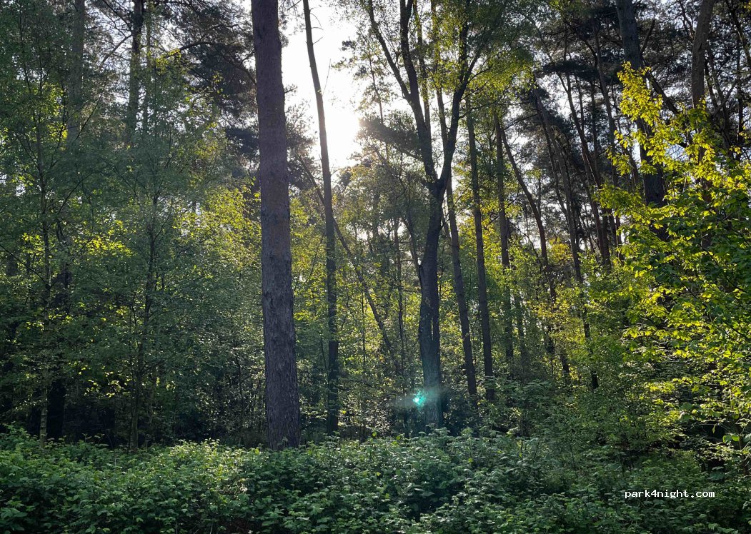 (41334) Nettetal - Knorrstraße — foto 4