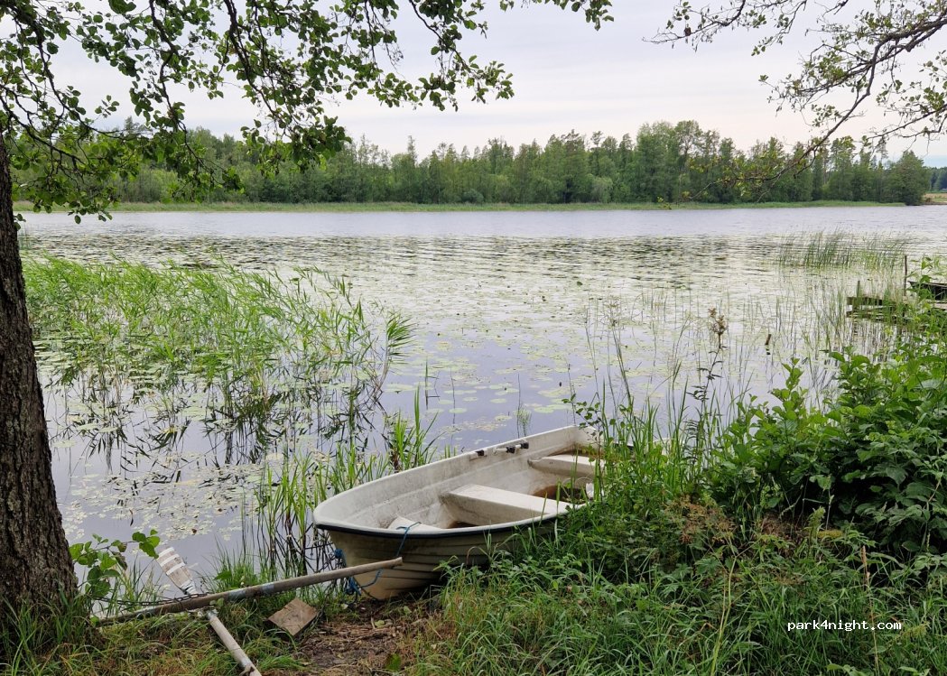 (733 96) Salbohed - 137 SKUGGEBO — foto 3