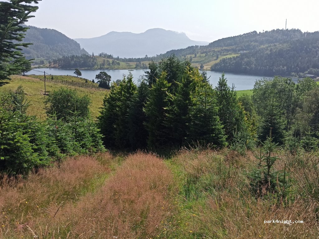 (5583) Vikedal - 8 Primær Fylkesveg 46 — foto 2