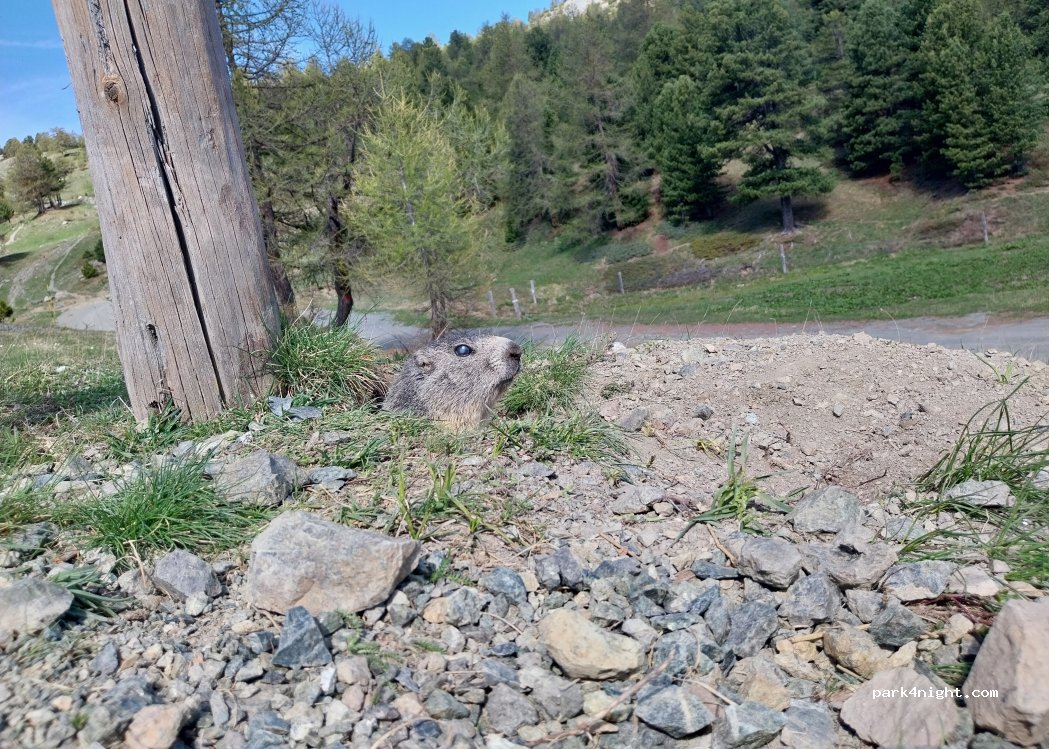 (10054) Cesana torinese - Unnamed Road — foto 5