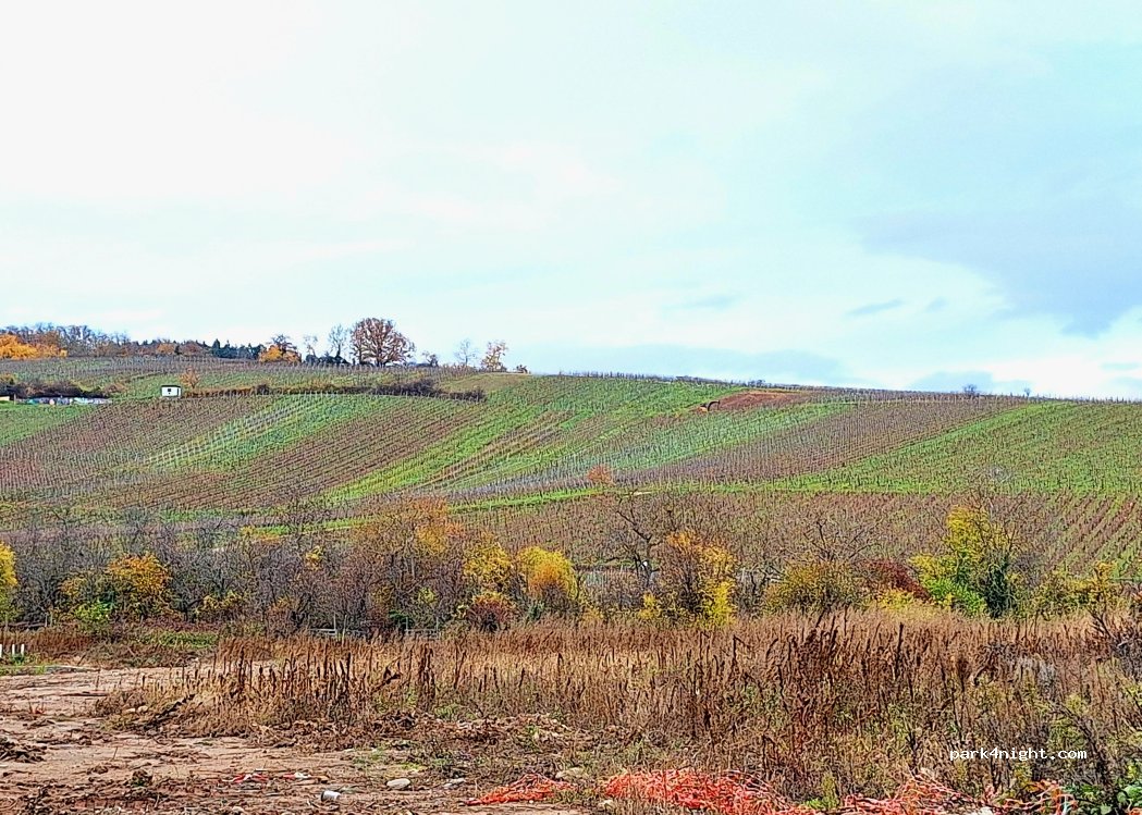 (68340) Riquewihr - 18 Rue des Prés — foto 5