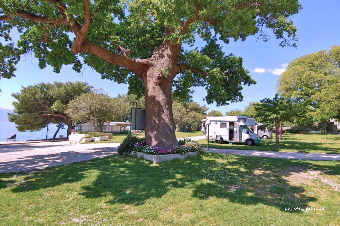 Camping Viter — foto 2