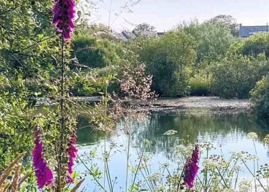 Foxglove Camping and Glamping — foto 3