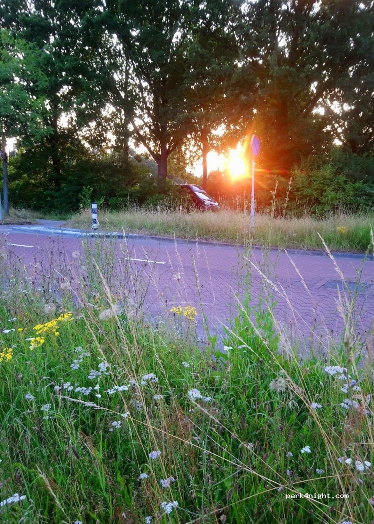 (8024 AG) Zwolle - 57 Boerendanserdijk — foto