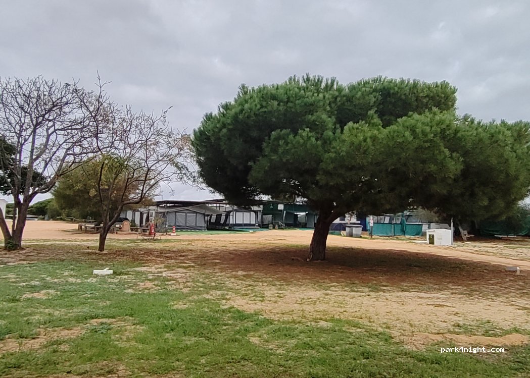 Camping Playa de Mazagon — foto 3