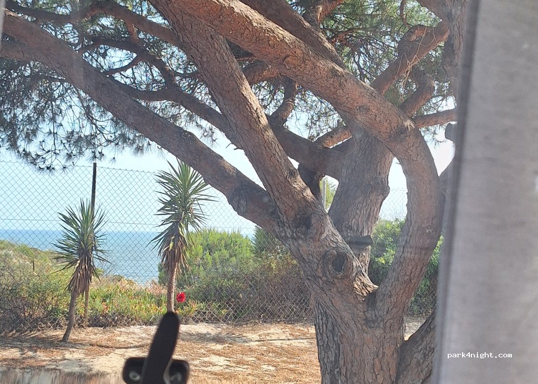 Camping Playa de Mazagon — foto 5