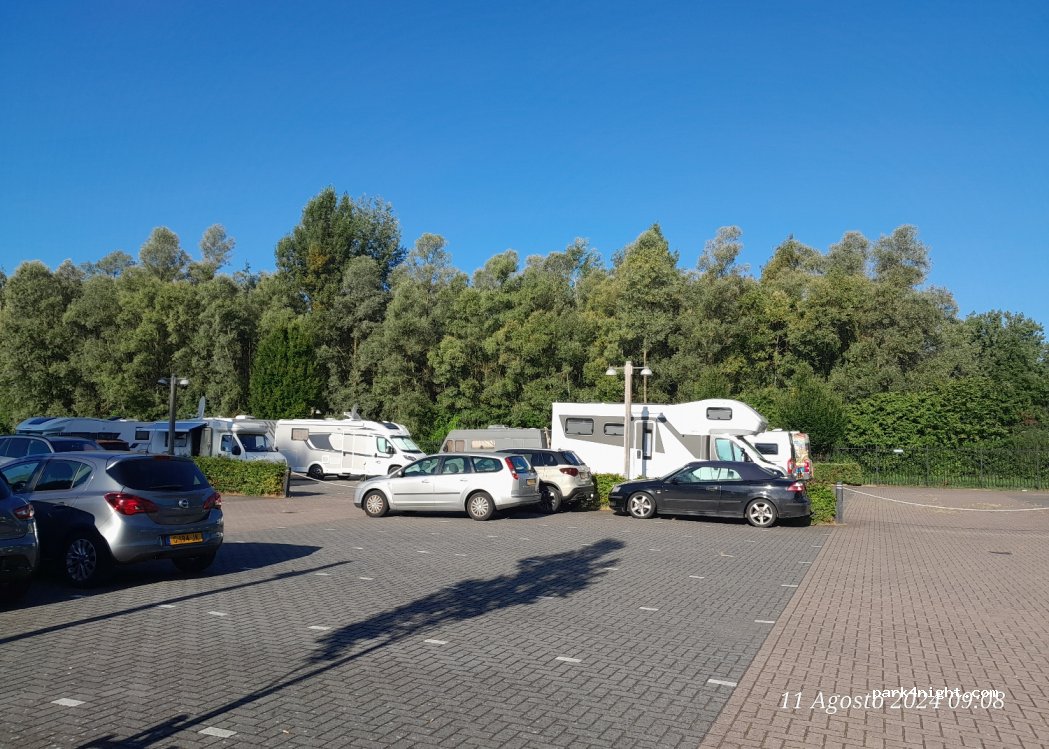 Jachthaven Westergoot Dordrecht - Biesbosch — foto 3