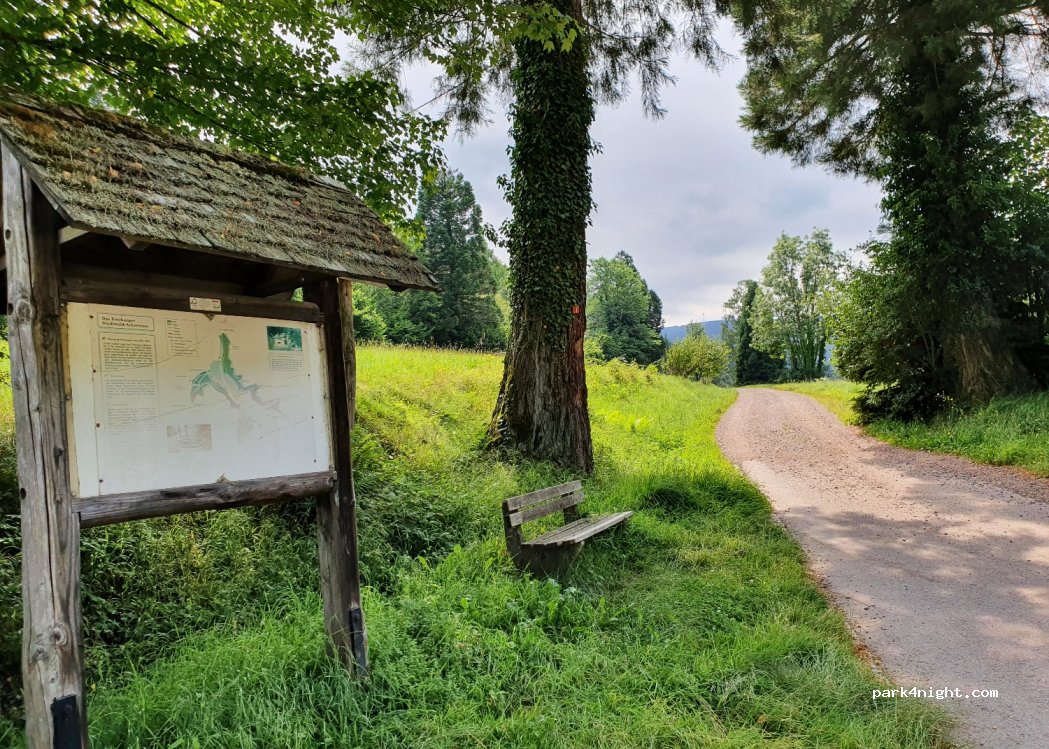 (79100) Freiburg im Breisgau - 136H Schauinslandstraße — foto 3