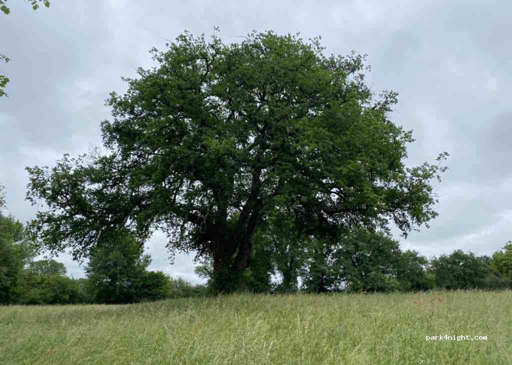(36300) Le Blanc - 62 Avenue Pierre Mendès-France — foto 3