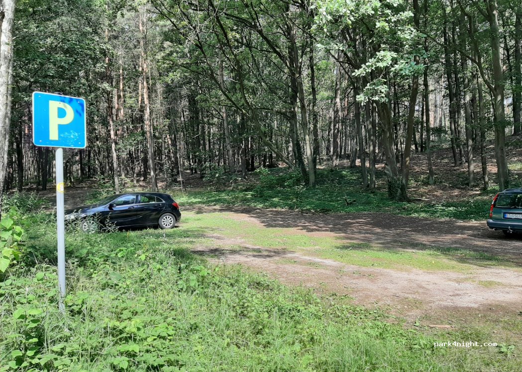 (15526) Bad Saarow - Unnamed Road — foto
