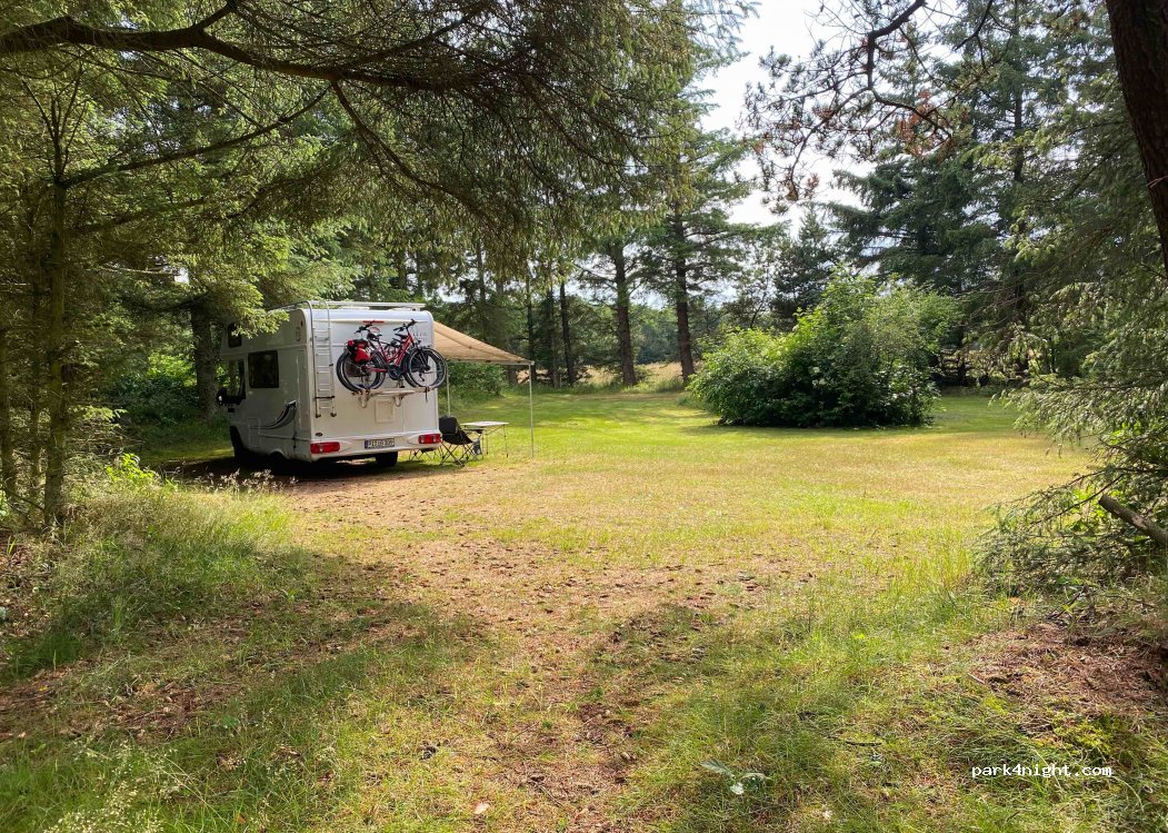 Bulbjerg Camping — foto