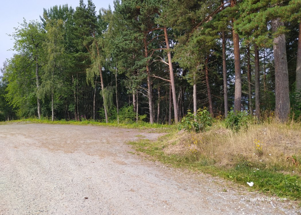(6456) Skåla - 40 Primær Fylkesveg 64 — foto
