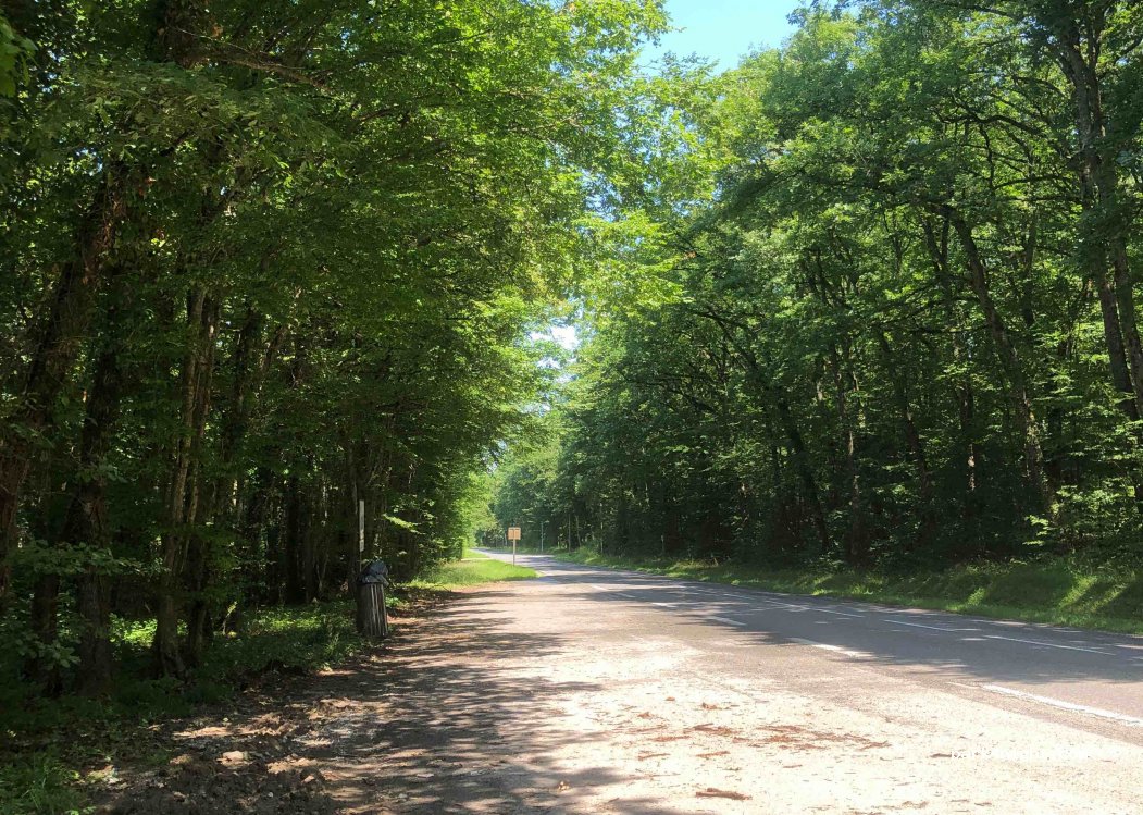 (74140) Messery - 60B Route de Parteyi — foto 2