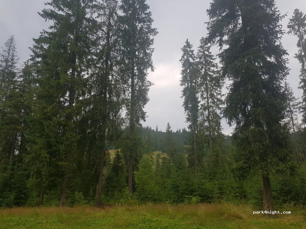 (34-531) Murzasichle - Unnamed Road — foto 2