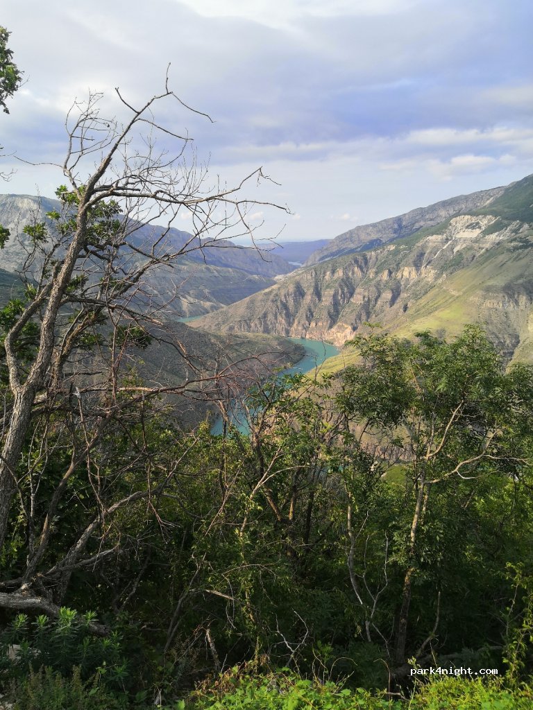 (368152) Dubki - Unnamed Road — foto 3
