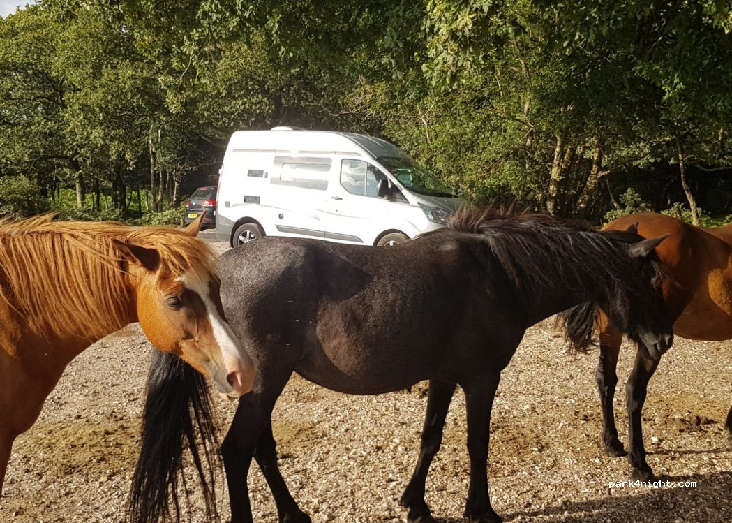 (BH24 4HH) Burley - Unnamed Road — foto 2
