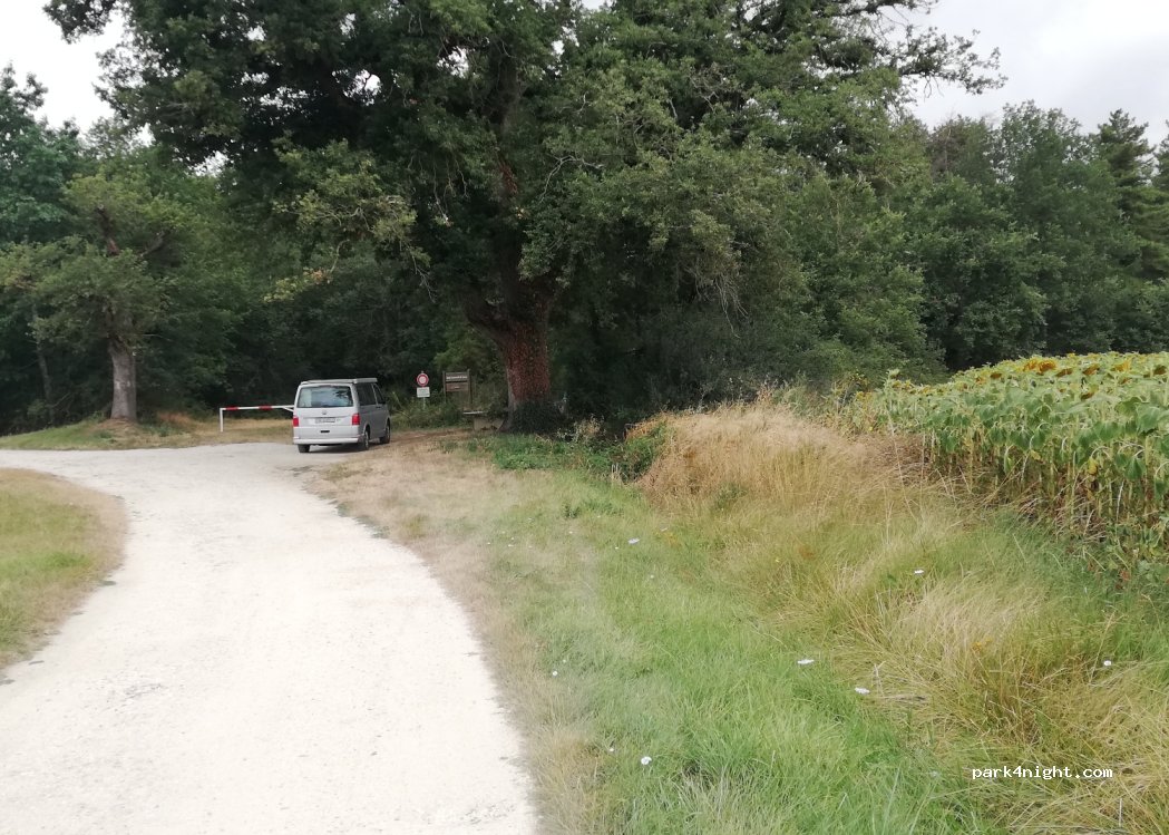 (31330) Launac - 91 Pastouret — foto 3