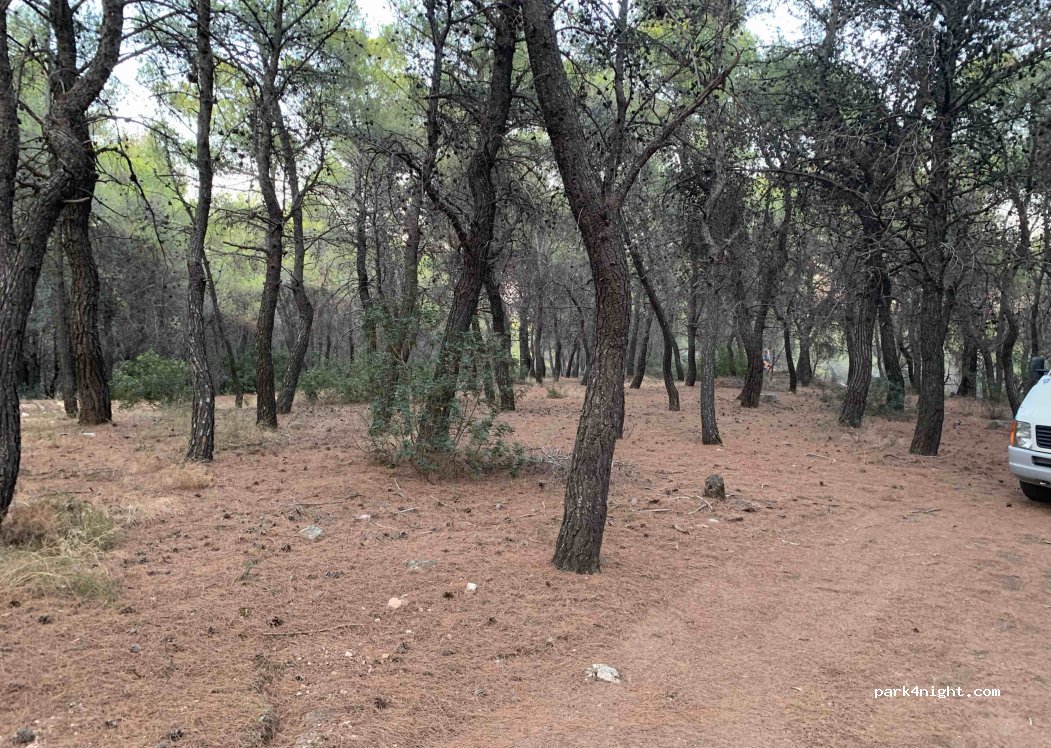 (210 60) Asini - Eparchiaki Odos Nafpliou - Trachias — foto