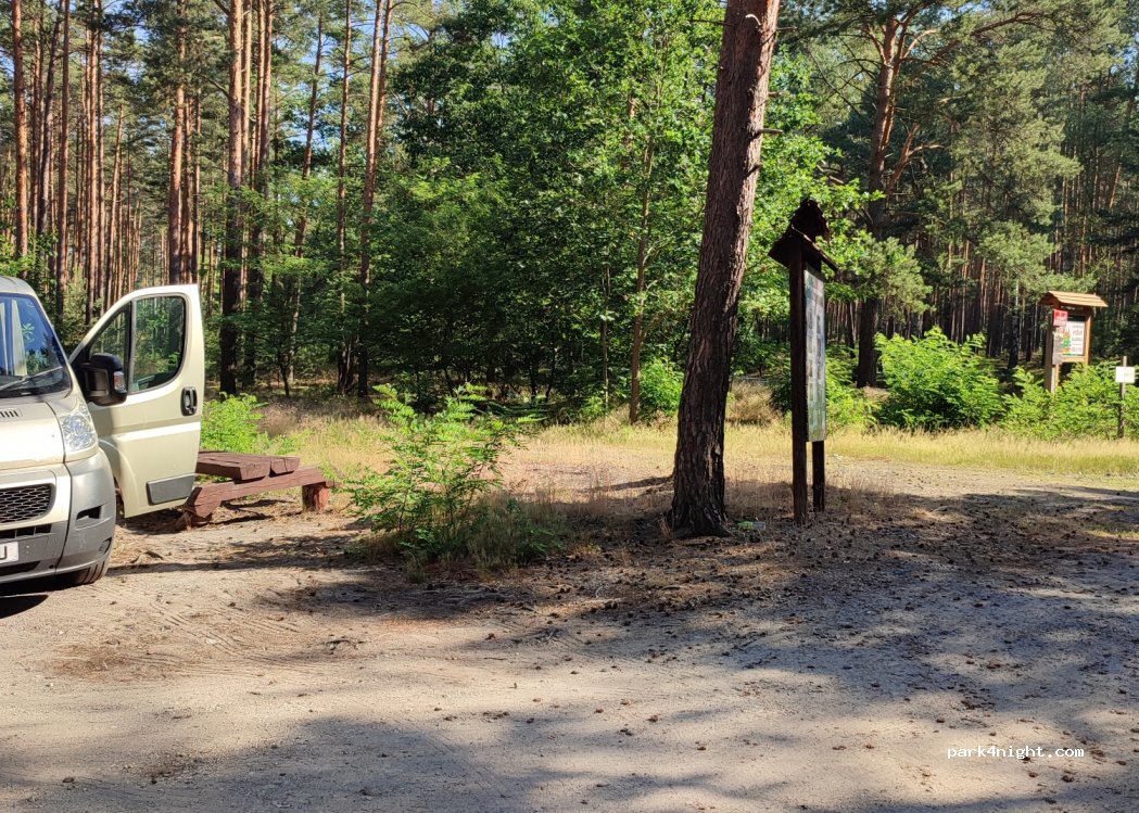 (59) Polkowicki - Droga Wojewódzka 328 — foto 2