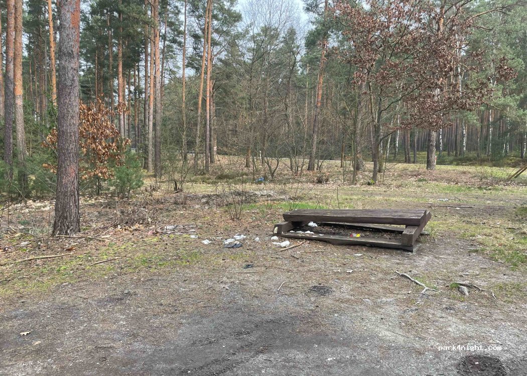 (59) Polkowicki - Droga Wojewódzka 328 — foto 3