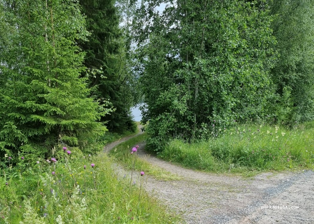 (781 96) Borlänge - Unnamed Road — foto 3