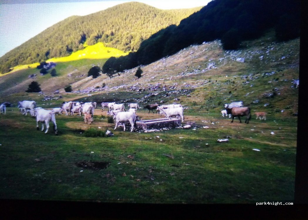 (03046) San Donato Val di Comino - SR509 — foto