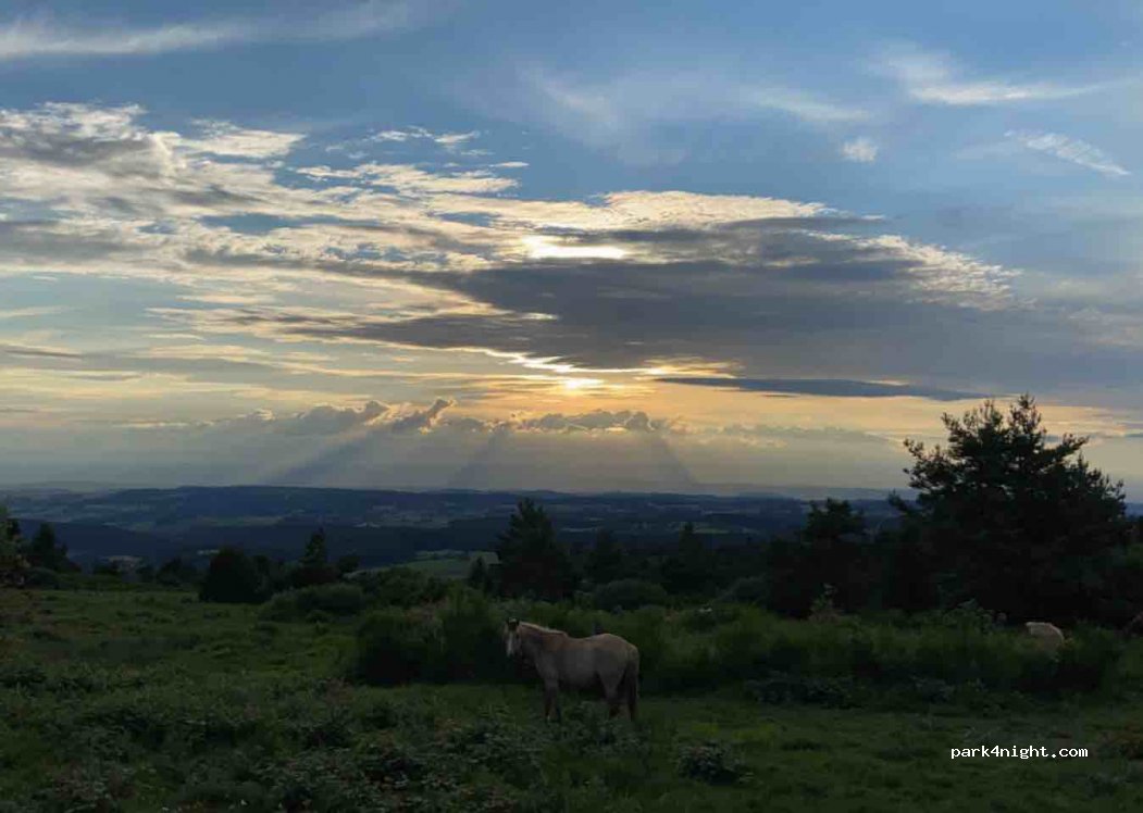 (42660) Saint-Régis-du-Coin - Chaussitre — foto