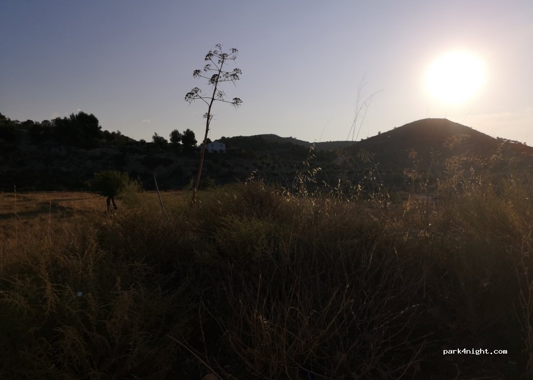 (30890) Lorca - 96 Paraje Zarzalico — foto