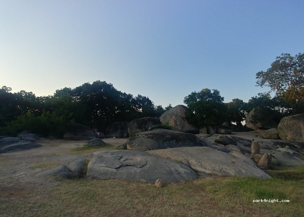 (8180) Yasna polyana - Unnamed Road — foto