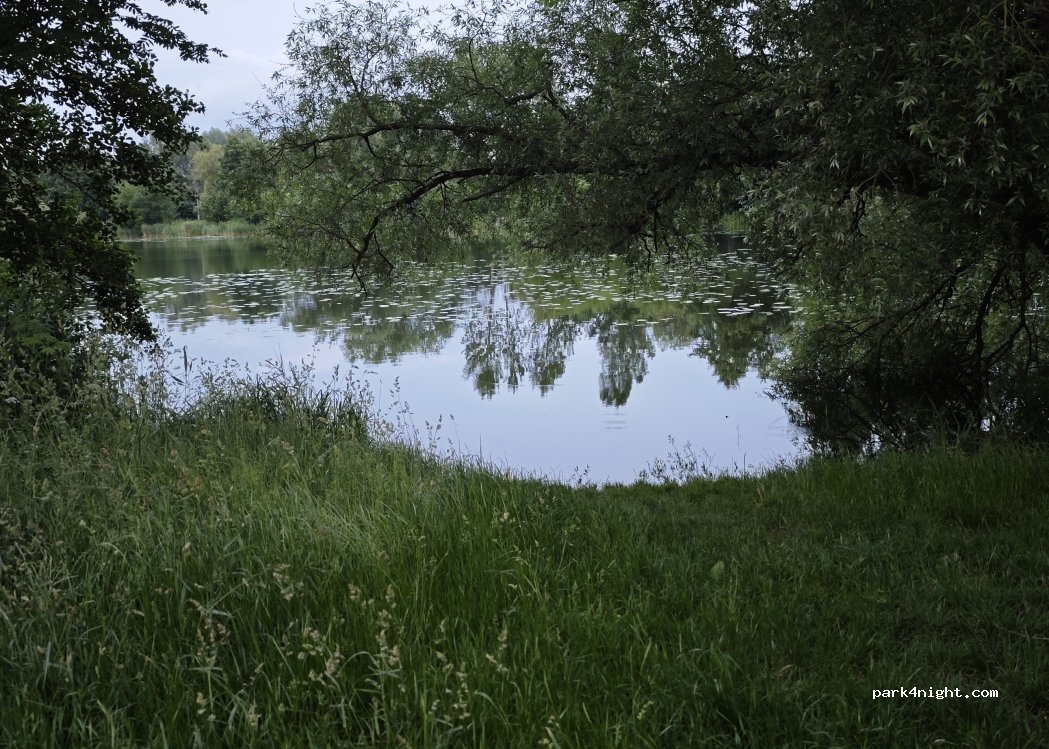 (23970) Wismar - 1 Lenensruhe — foto 5