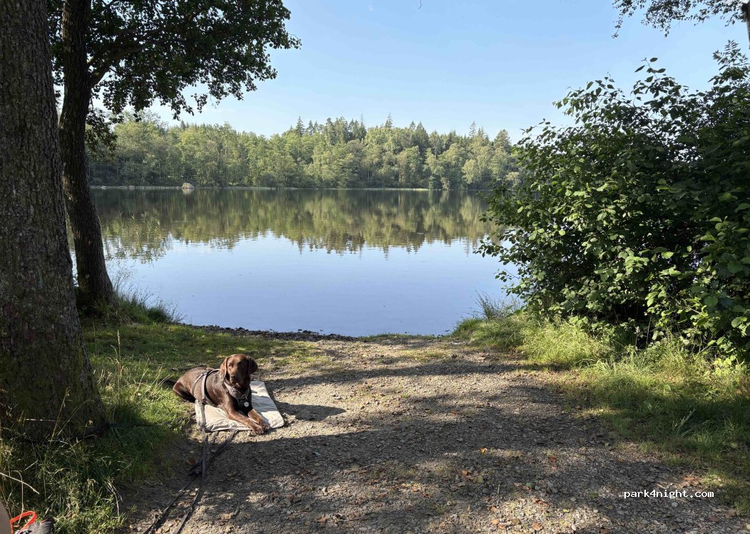 (432 77) Tvååker - Unnamed Road — foto 5