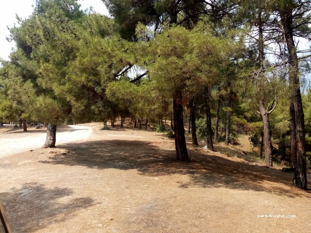 (33400) Mersin - Adana Aksaray Yolu — foto