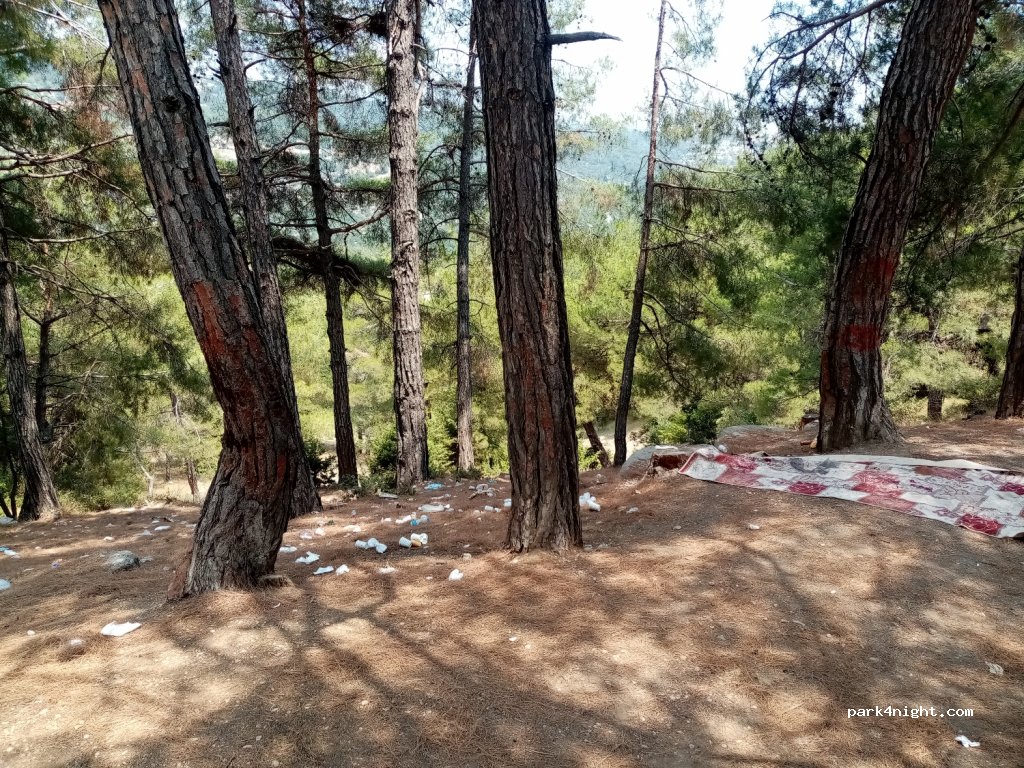 (33400) Mersin - Adana Aksaray Yolu — foto 2
