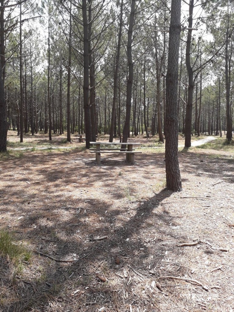 (33680) Lacanau - Unnamed Road — foto