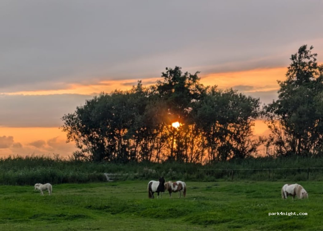 Camping Zwolsedijk — foto 5