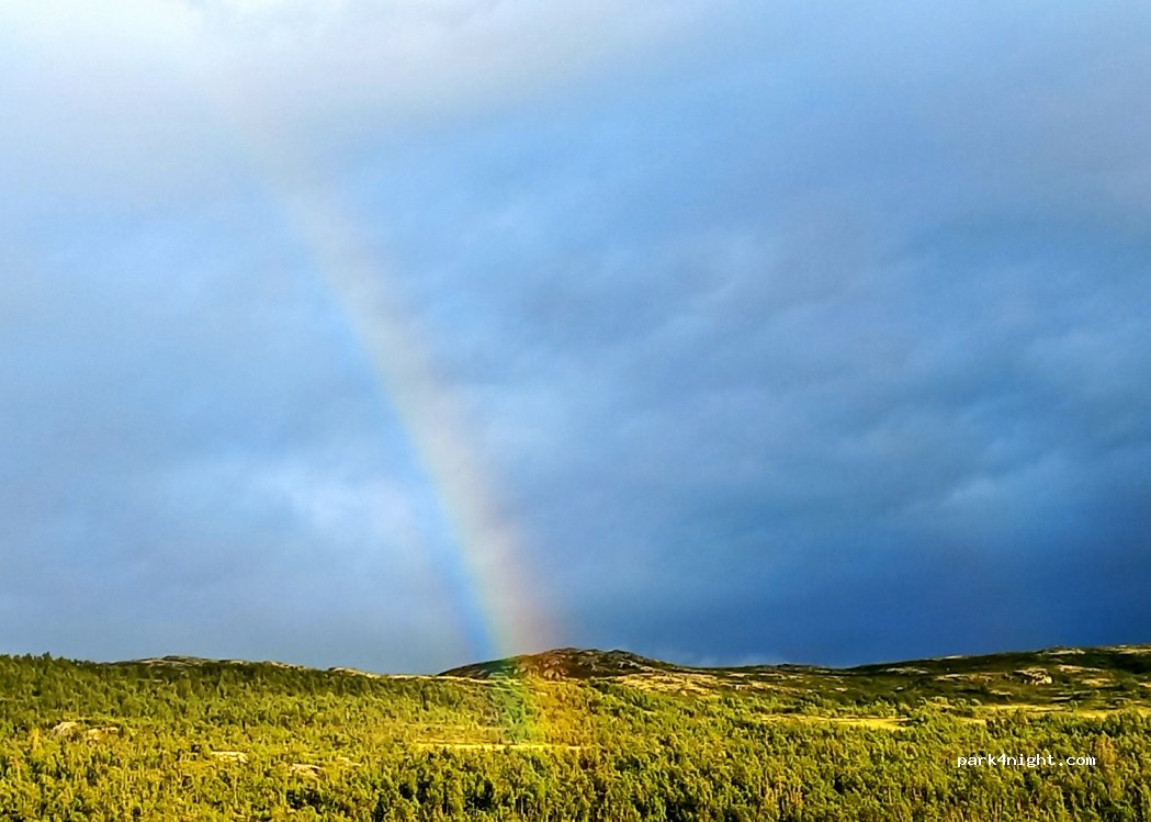 (3580) Geilo - 223 Seterdalen — foto 4