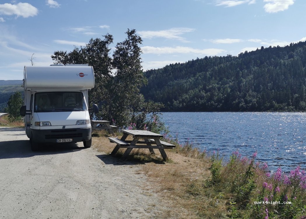 (2477) Sollia - Primær Fylkesveg 219 — foto