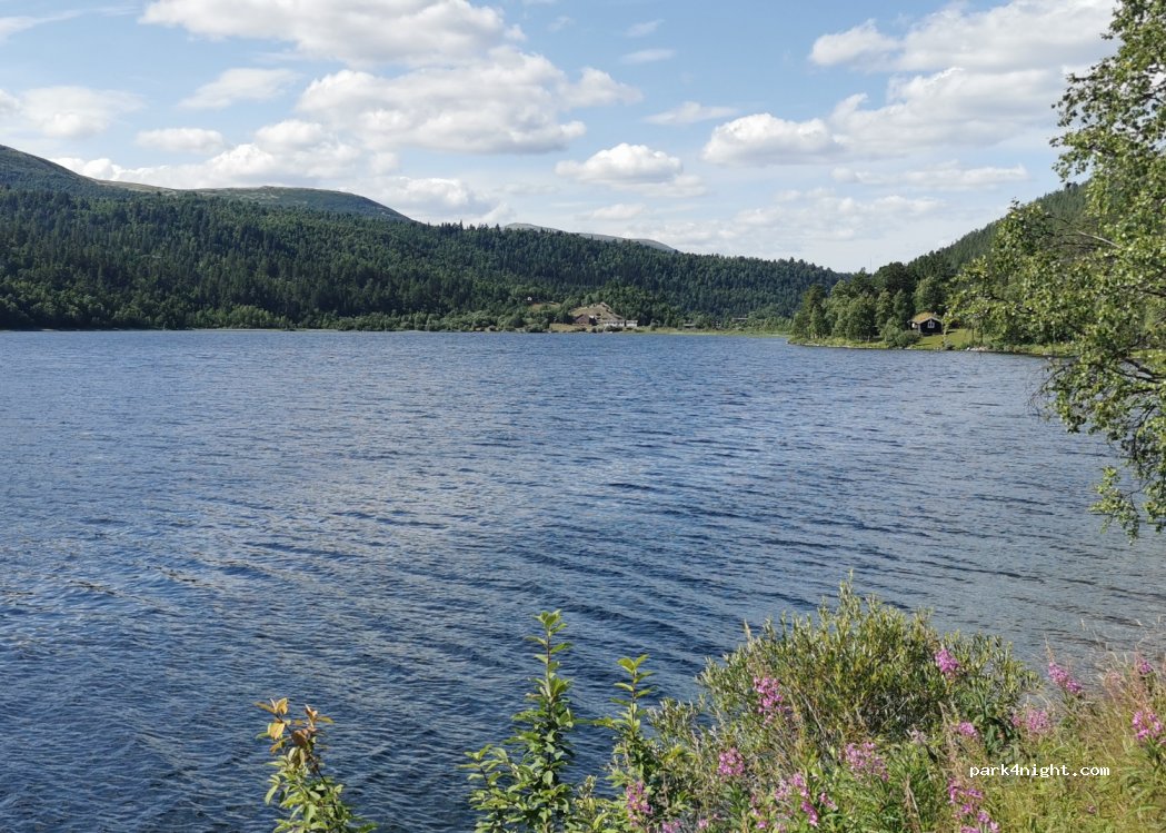 (2477) Sollia - Primær Fylkesveg 219 — foto 3