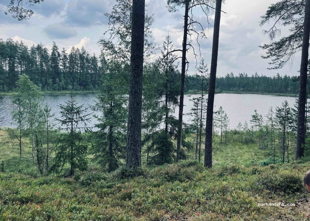 (560 13) Hok - Unnamed Road — foto