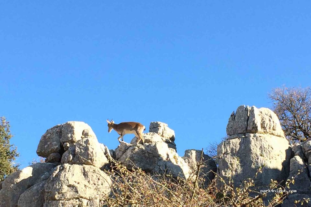 (29200) Antequera - Unnamed Road — foto 3