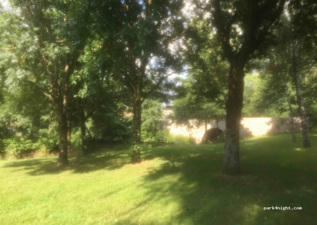 (49510) Beaupréau-en-Mauges - 4 Résidence du Parc — foto 2