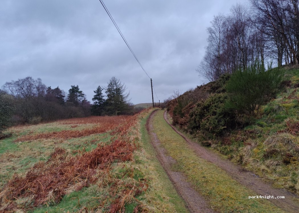 (EH46 7HJ) Dolphinton - Unnamed Road — foto 2