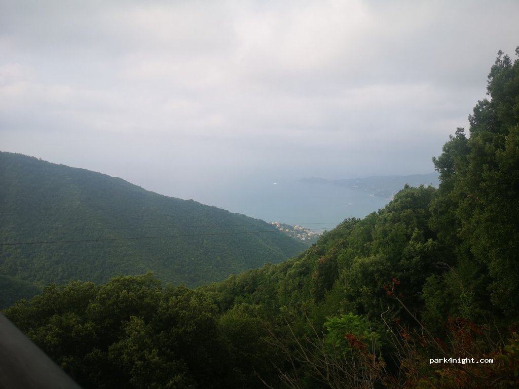 (16035) Nostra Signora di Montallegro - — foto 2