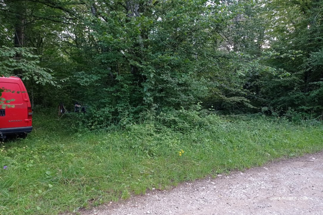 (39800) Besain - Route Forestière des Malrochers — foto