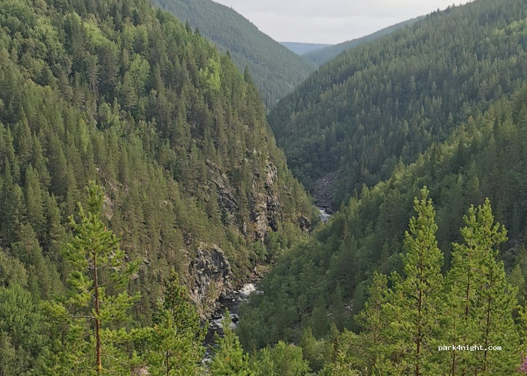 (2485) Rendalen - Primær Fylkesveg 217 — foto 2