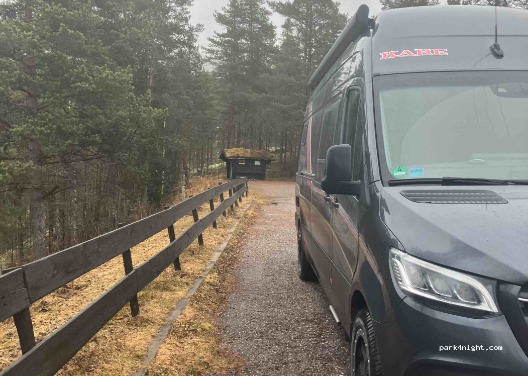 (2485) Rendalen - Primær Fylkesveg 217 — foto 4