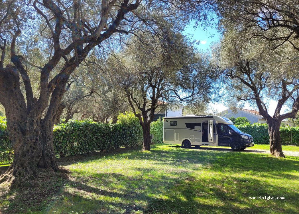 Camp Oliva — foto 5