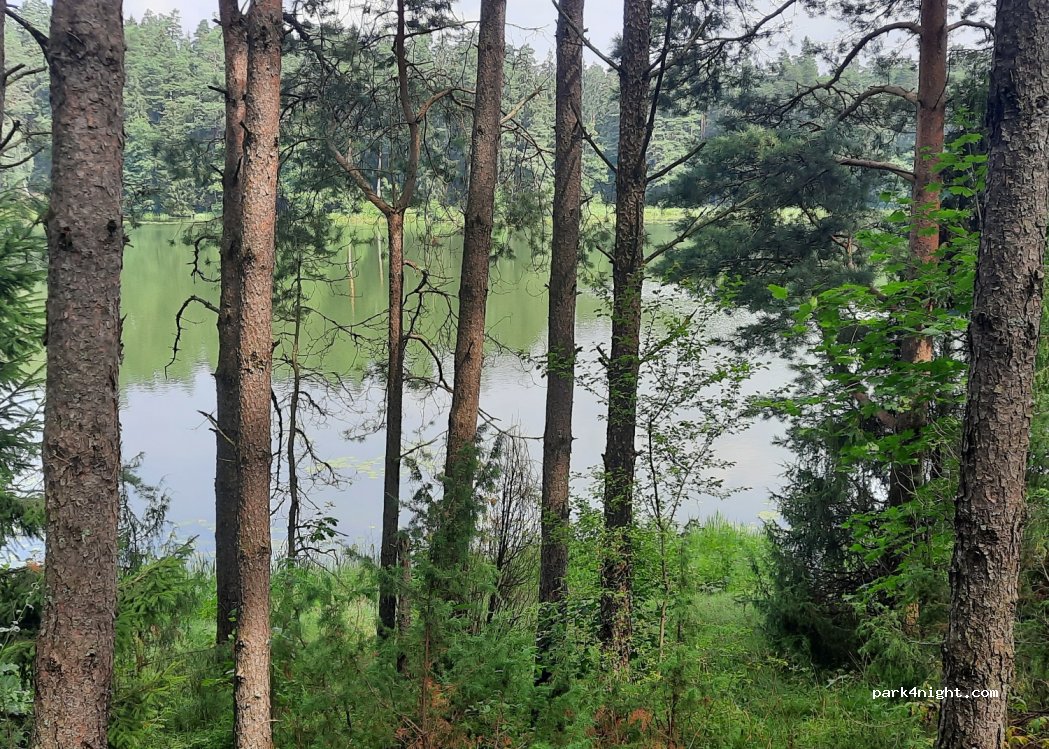(16-326) Perkuć - Droga Wojewódzka 672 — foto